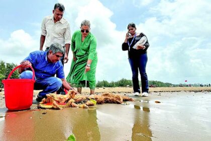 GSPCB team visits Miramar, Caranzalem beaches;
collects samples of Plaster of Paris idols and water