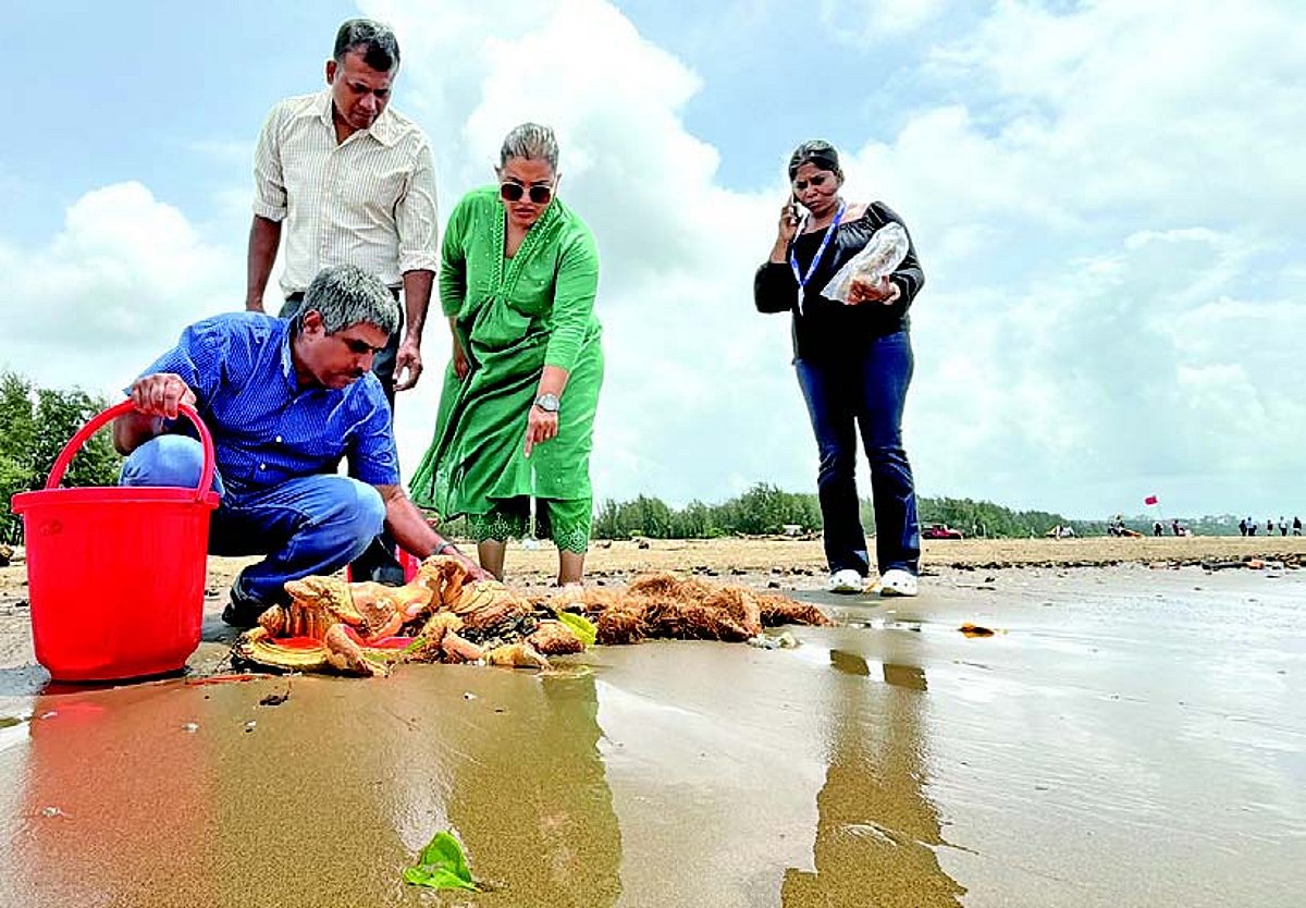 GSPCB team visits Miramar, Caranzalem beaches;
collects samples of Plaster of Paris idols and water