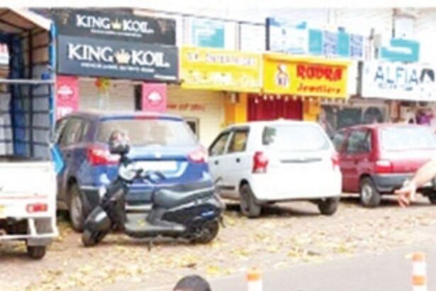 GSRF installs 100 spring  dilenators  in Ponda