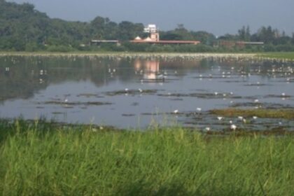 GSWA gives nod to nominate Carambolim Lake, Dr Salim Ali Bird Sanctuary as Ramsar sites