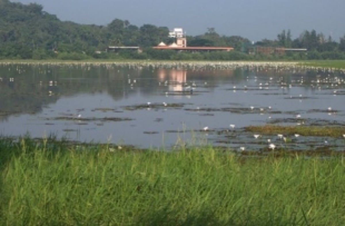 GSWA gives nod to nominate Carambolim Lake, Dr Salim Ali Bird Sanctuary as Ramsar sites