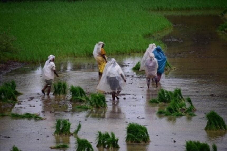 GU surveys rain damage at two adopted villages 1 GU surveys rain damage at two adopted villages