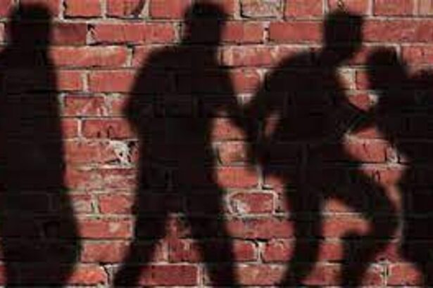 Gang waylays vehicle, attacks commuters with rods and stones