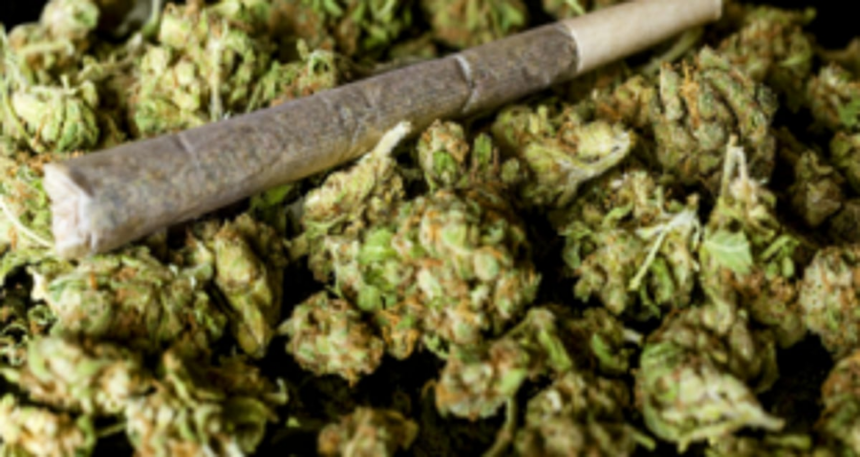 Ganja worth Rs 1 lakh seized in two separate raids 1 Ganja worth Rs 1 lakh seized in two separate raids
