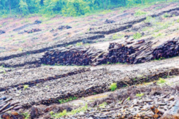 Ganv Bhavancho Ekvott shocked over  CM’s remark on NRGs opposing projects