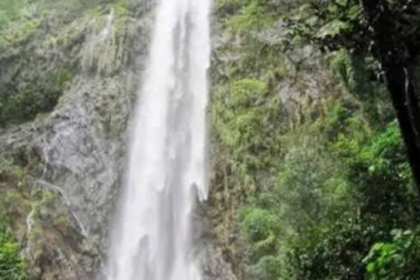 Gaondongrem, Cotigao propose ban on entry of outside revellers