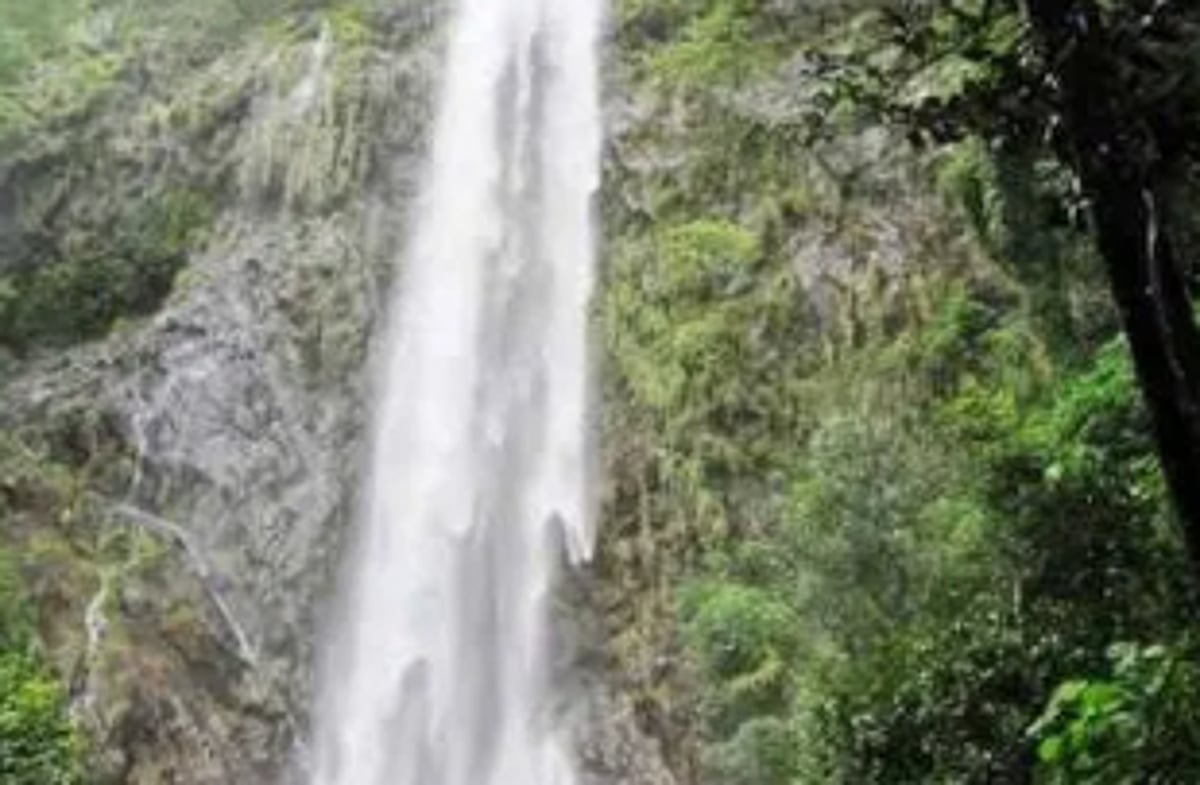 Gaondongrem, Cotigao propose ban on entry of outside revellers