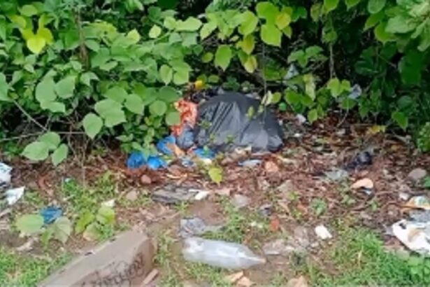 Garbage Accumulation and Tree Cutting Issues Plague Bodake Dhenu Agarwada Mandrem Residents