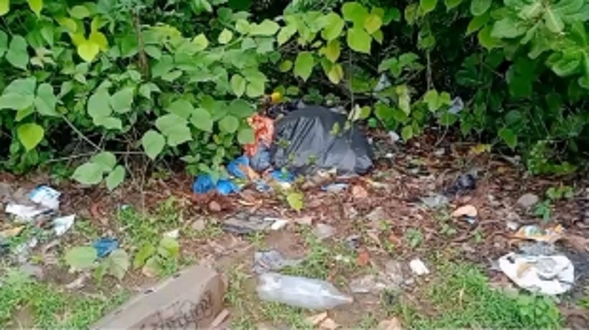 Garbage Accumulation and Tree Cutting Issues Plague Bodake Dhenu Agarwada Mandrem Residents