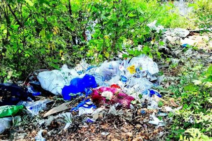 Garbage black spots dot Margao outskirts