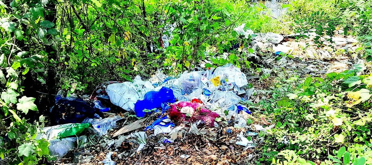 Garbage black spots dot Margao outskirts