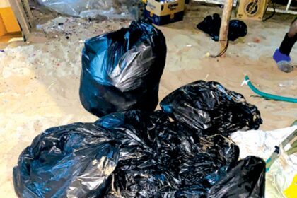 Garbage collector playing truant in Calangute, Candolim: Shack owners