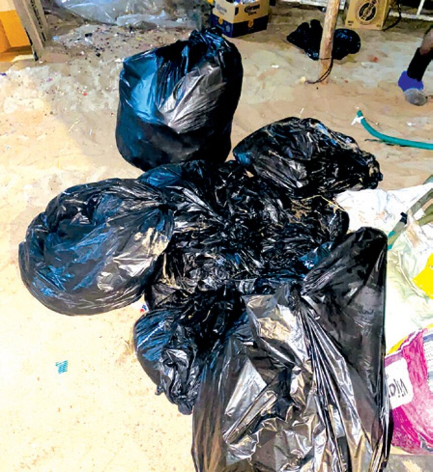 Garbage collector playing truant in Calangute, Candolim: Shack owners 1 Garbage collector playing truant in Calangute, Candolim: Shack owners