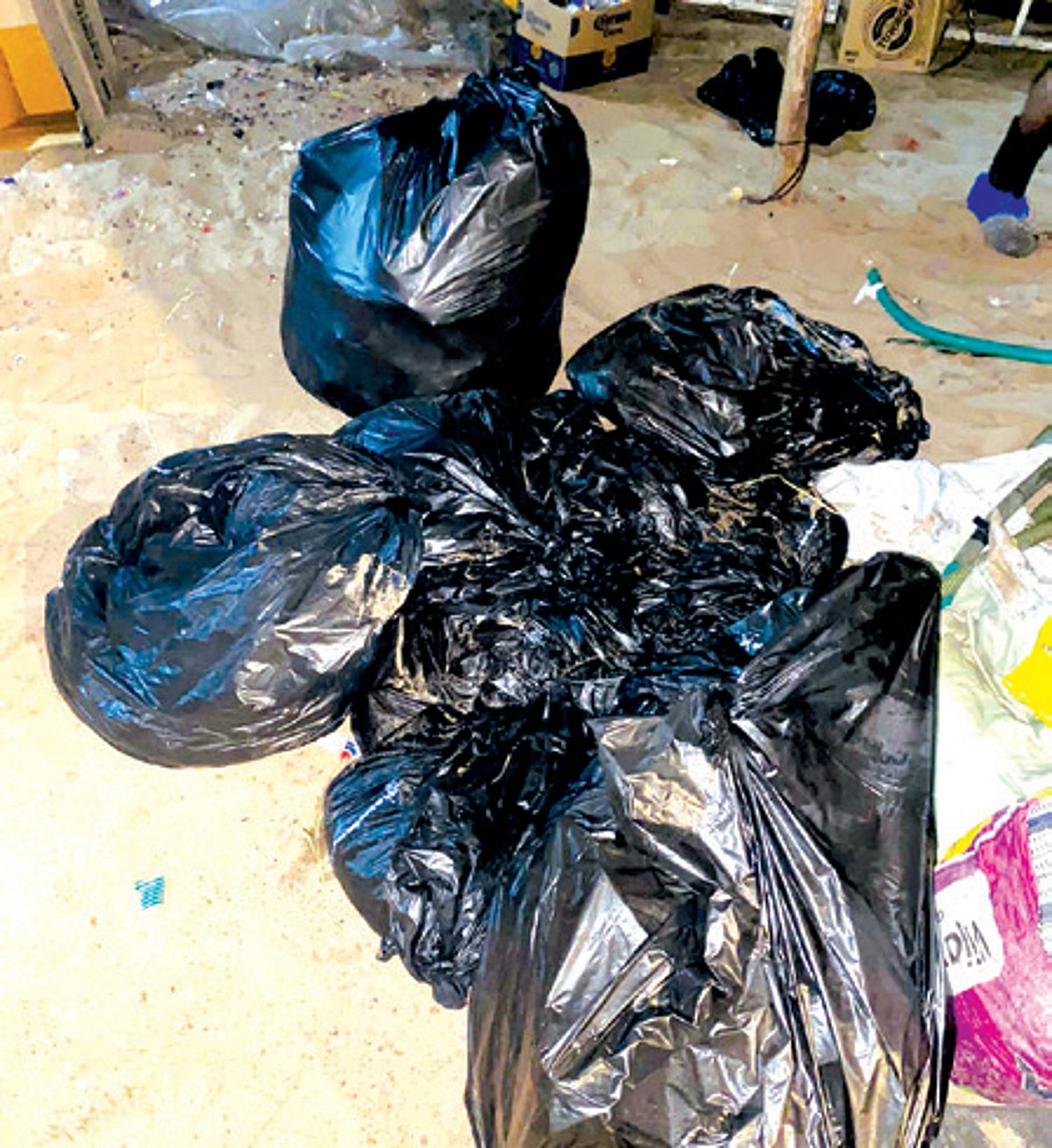 Garbage collector playing truant in Calangute, Candolim: Shack owners