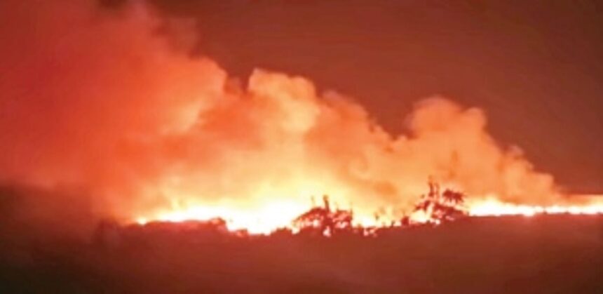 Garbage dump at Sada catches fire 1 Garbage dump at Sada catches fire