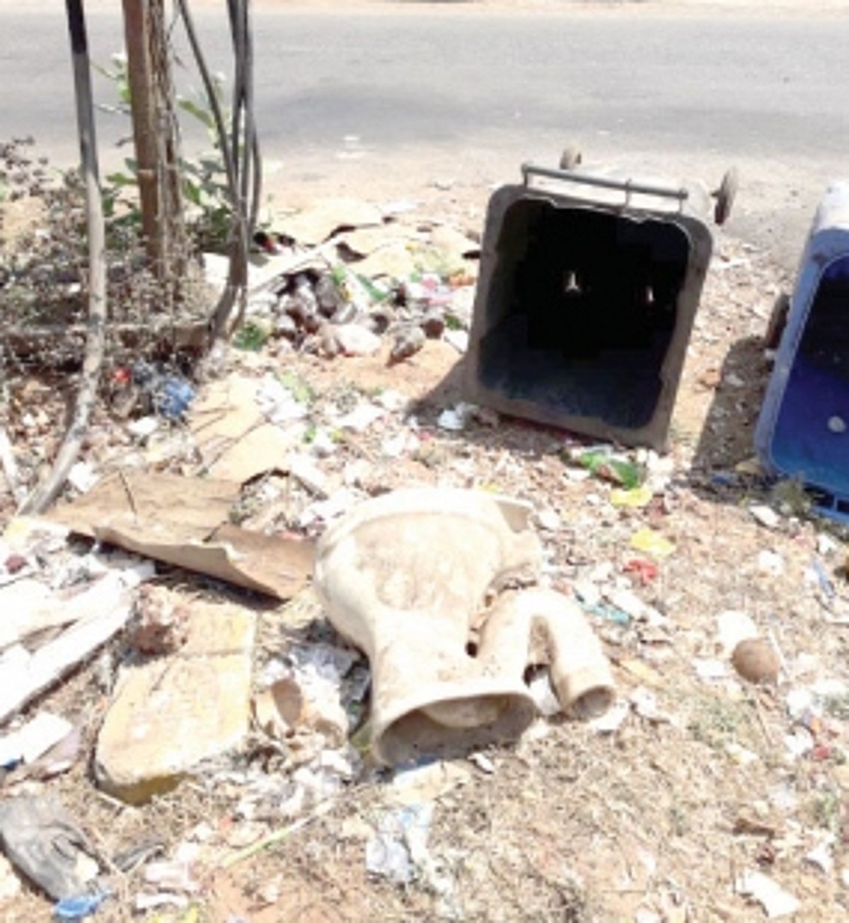 Garbage dump at the roadside near South Goa district library, irks locals