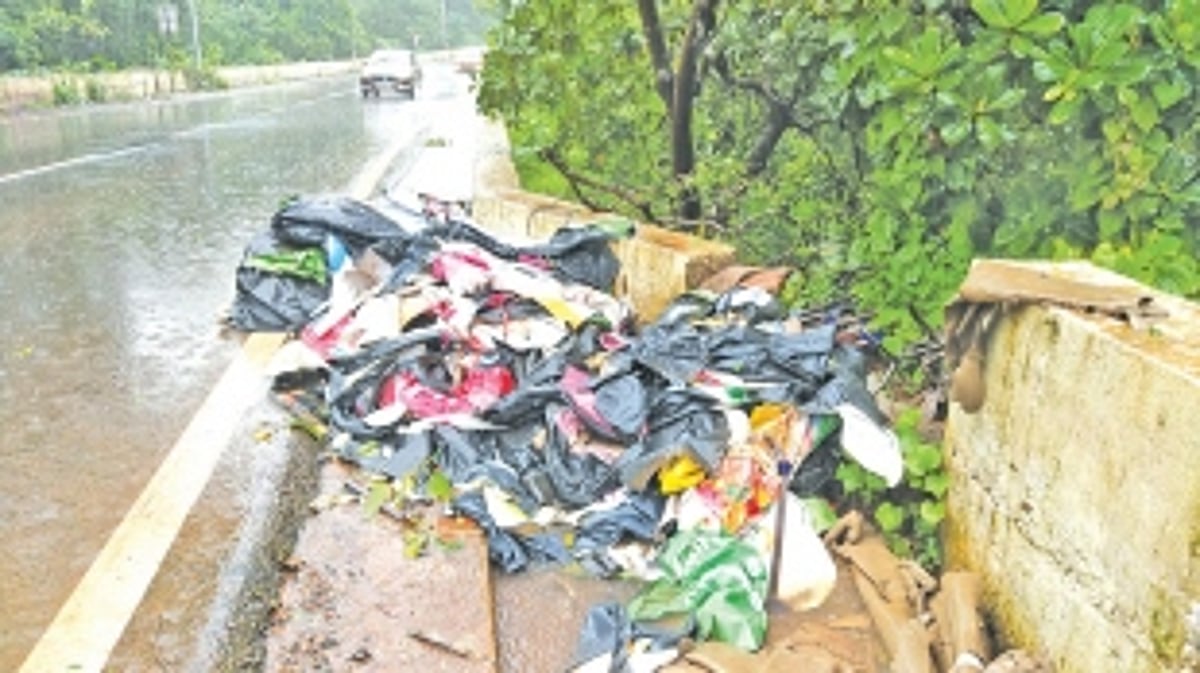 Garbage dumped along road to Mopa Airport
