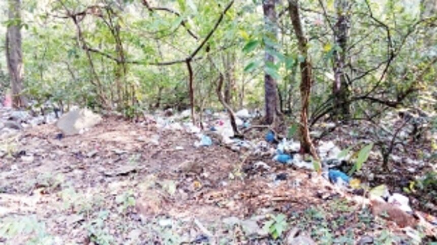 Garbage dumped in forest