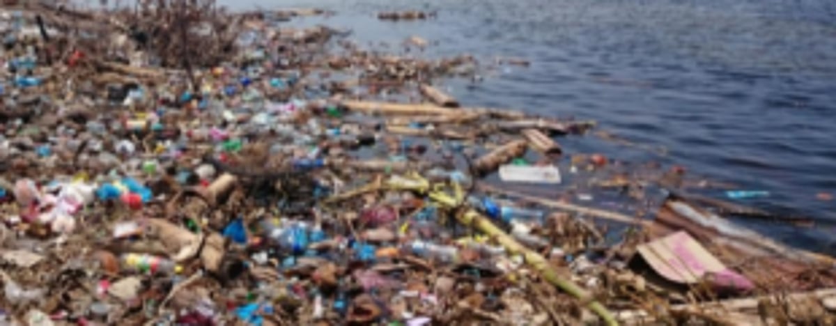 Garbage dumping, sewage discharge  into fields continue at Nuvem