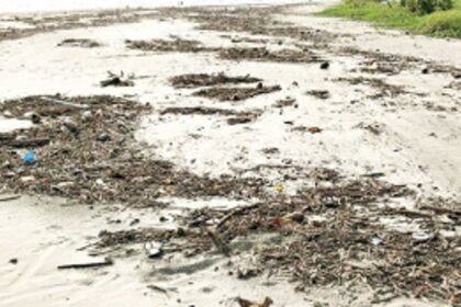 Garbage gives an ugly look  to Morjim beach