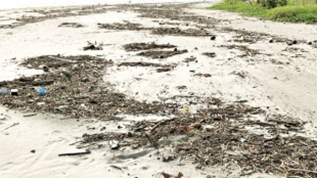 Garbage gives an ugly look  to Morjim beach