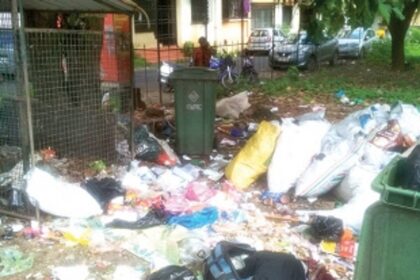 Garbage hazard on St Joaquim Road, Borda