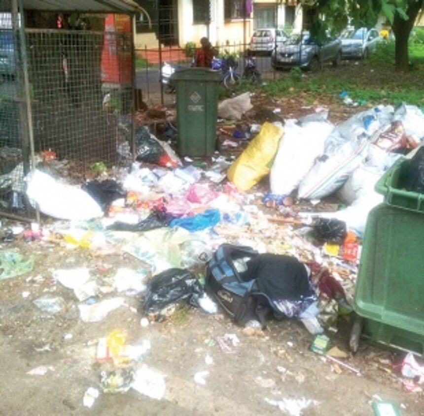 Garbage hazard on St Joaquim Road, Borda