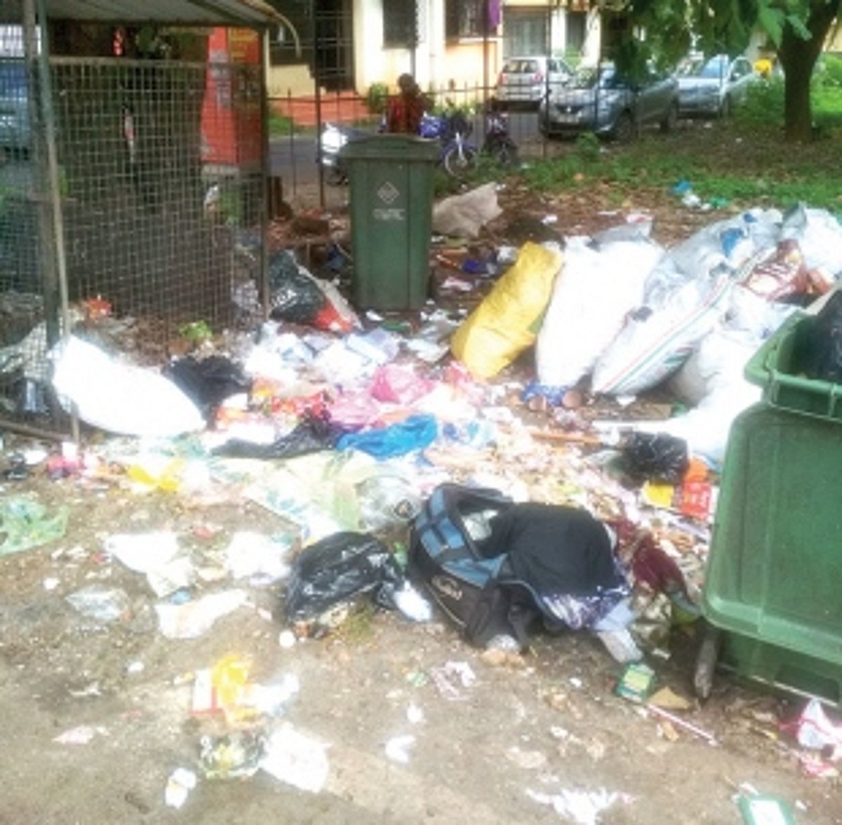 Garbage hazard on St Joaquim Road, Borda