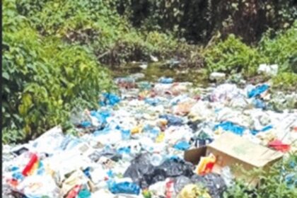 Garbage menace in Navelim  water body angers locals