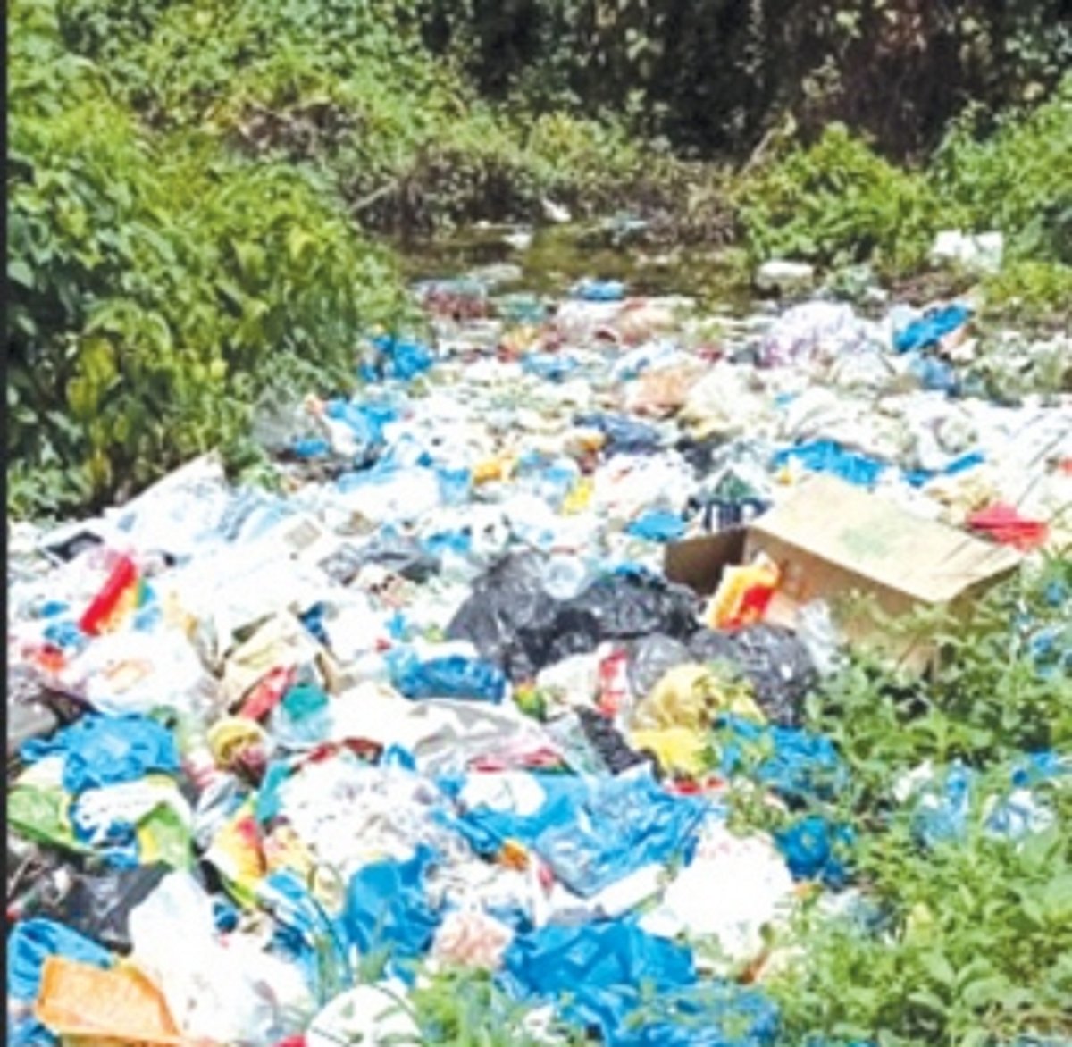 Garbage menace in Navelim  water body angers locals