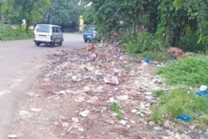 Garbage pile near the highway