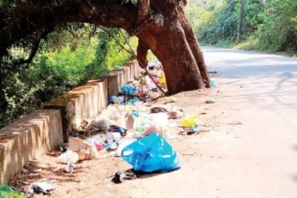 Garbage strewn along Siolim roadside