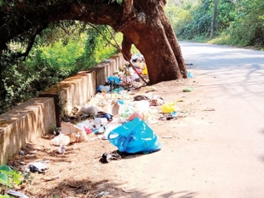 Garbage strewn along Siolim roadside 1 Garbage strewn along Siolim roadside