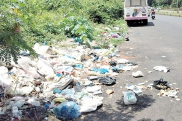 Garbage strewn along the highway