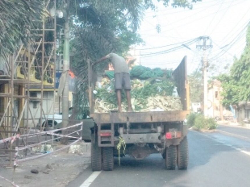 Garbage transported in open trucks at Vasco