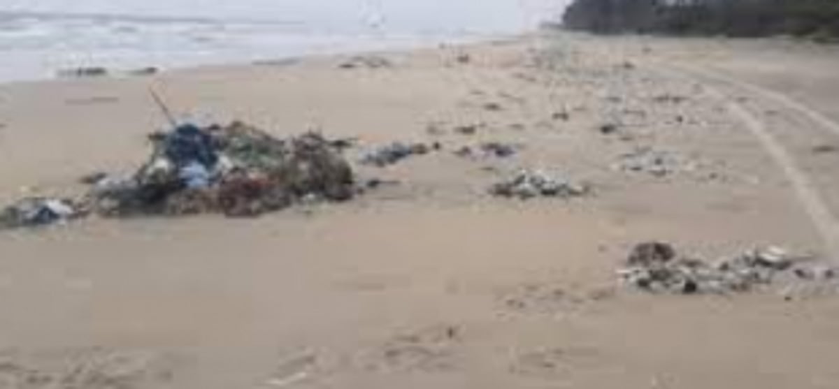 Garbage washes ashore at Fatrade beach