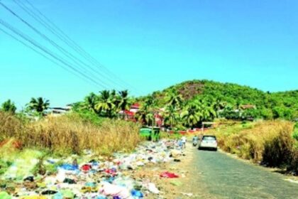 Garbage woes plague South Goa: 6,746 cases filed by police, but open dumping persists
