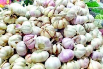 Garlic prices skyrocket in Ponda
