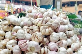 Garlic rates skyrocket, restaurants, Chinese cuisine outlets hit hard