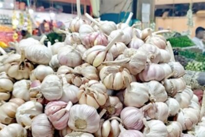 Garlic rates skyrocket, restaurants, Chinese cuisine outlets hit hard