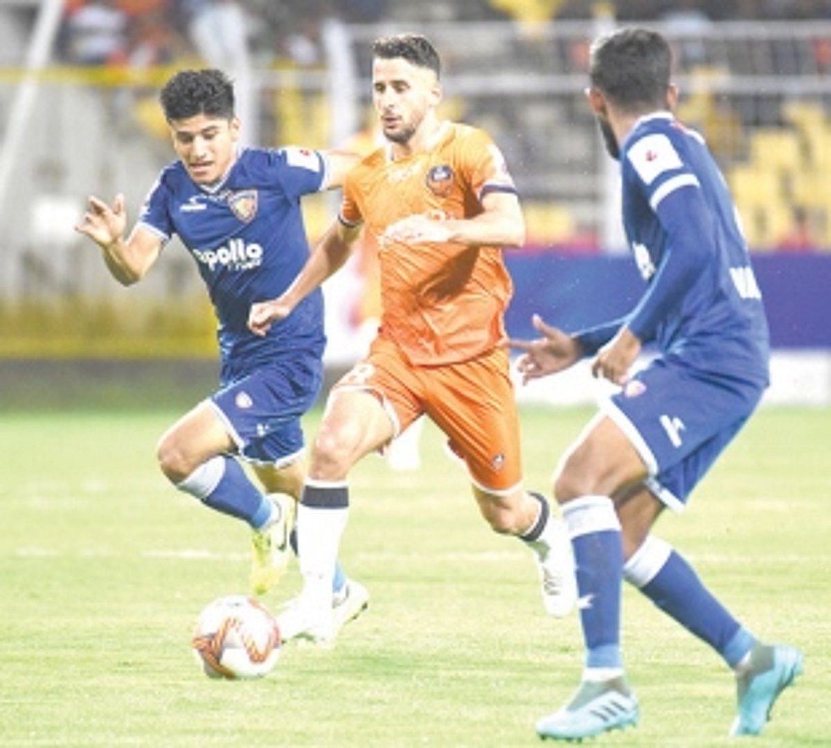 Gaurs go on rampage  as campaign gate opens