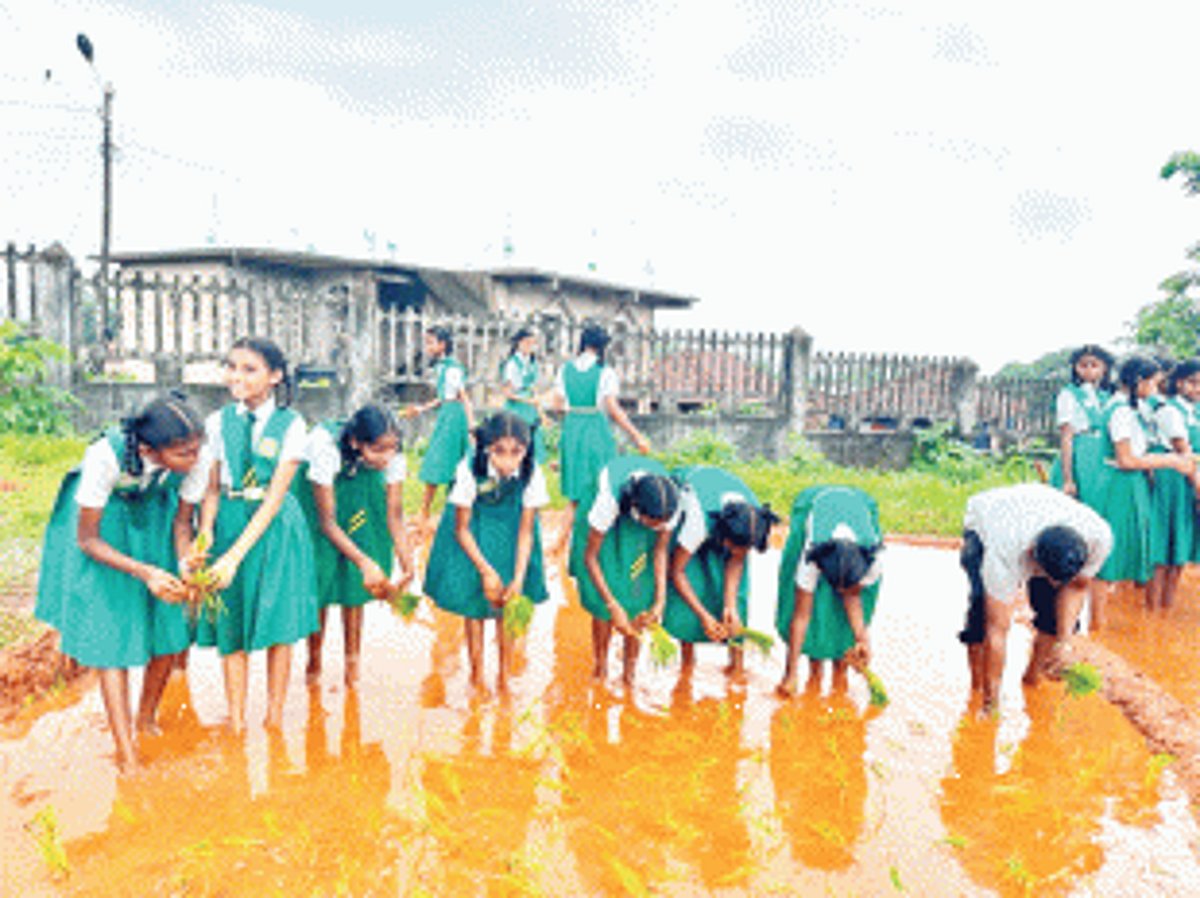 Gaval-Khola school pioneers a green path to learning with hands-on education in sustainable agriculture