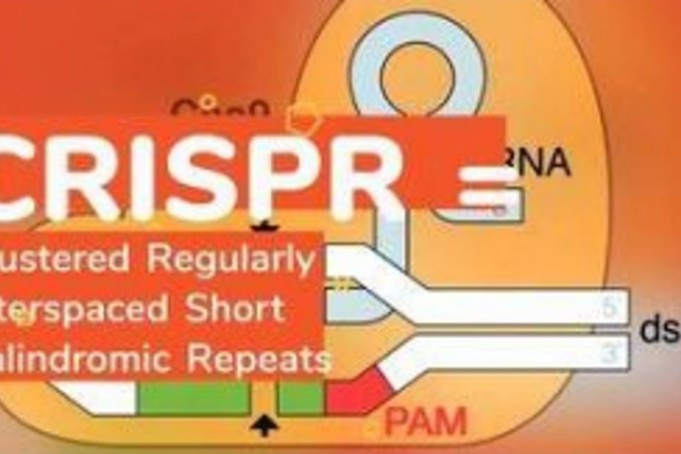 Gene technology for human development
