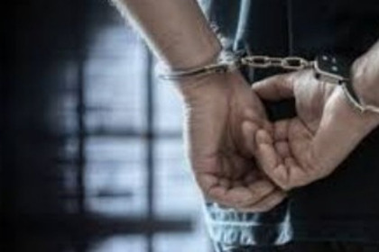 German National Arrested in Goa with Drugs Worth Rs 24 Lakh in Major 2025 Bust