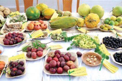 Get acquainted with the lesser known flavours of Goa