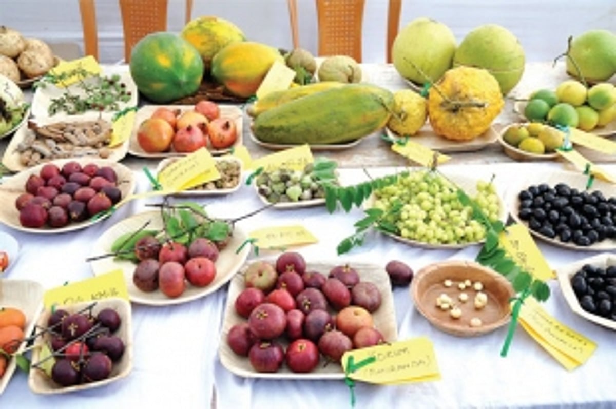 Get acquainted with the lesser known flavours of Goa