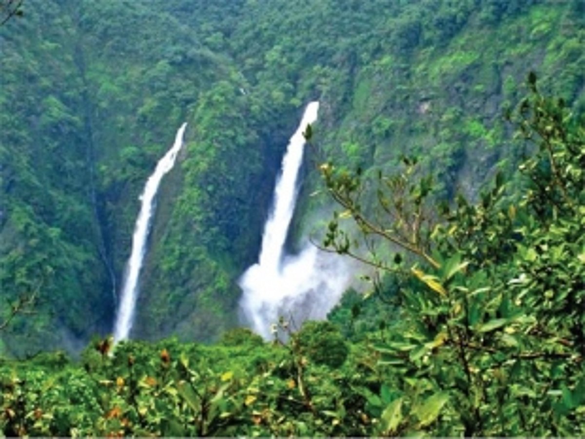 Get closer to nature these monsoons