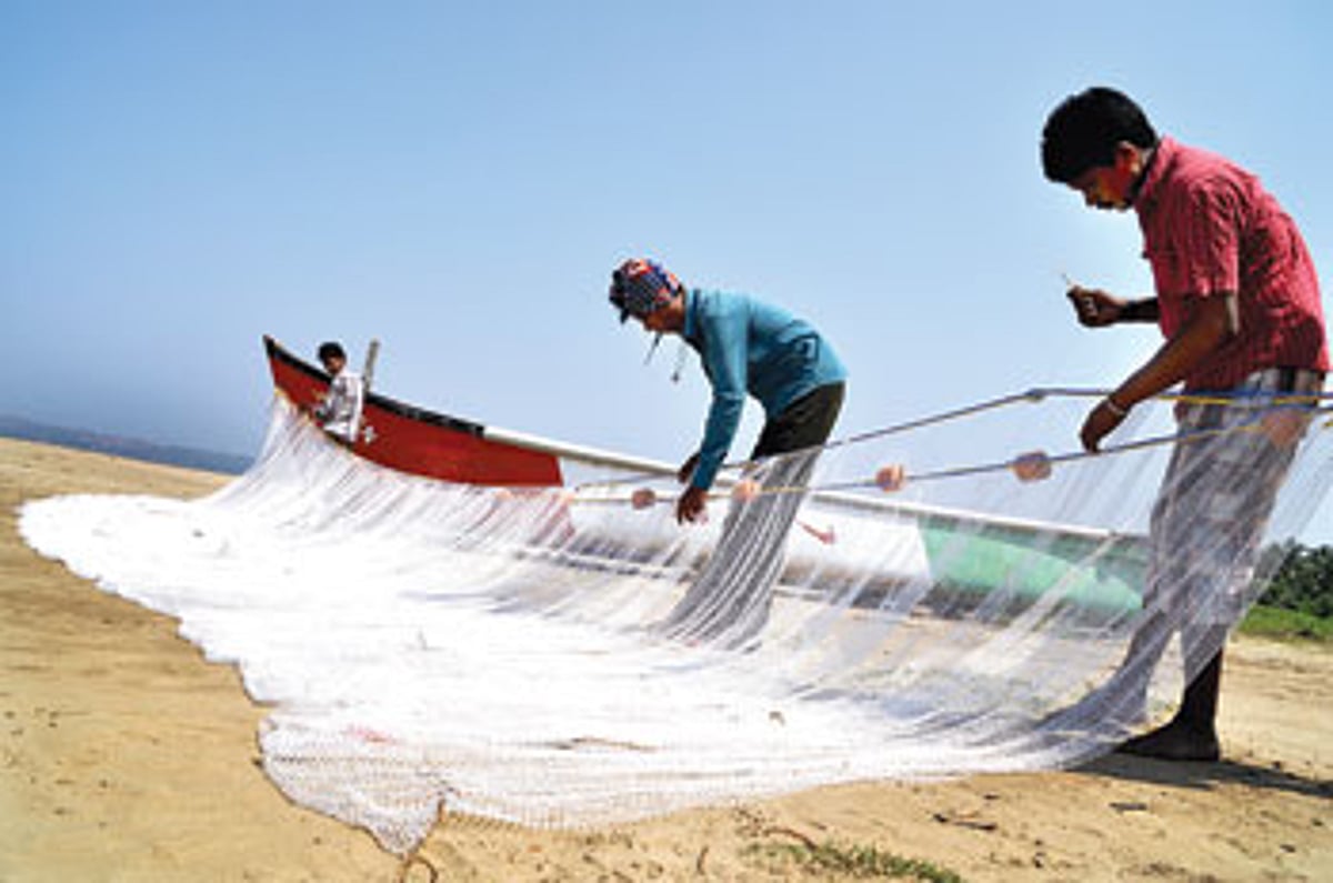 Getting set for a catch