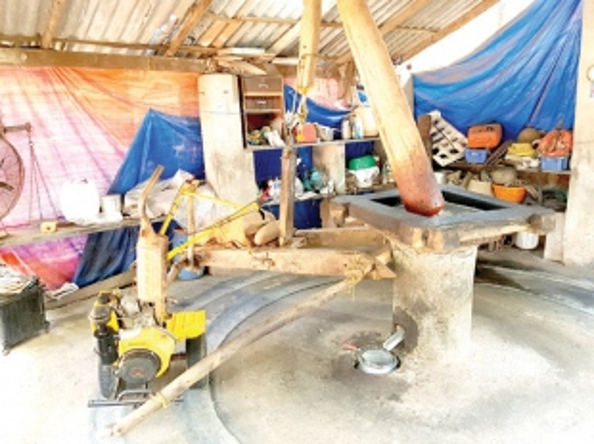 Ghanno tradition almost  gone with the wind