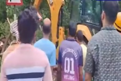 Giant Tree Falls on Mardol Bypass, Injuring Two and Damaging Vehicles